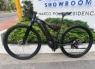 Giant Liv Ebike Series 2020
