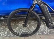 Giant Liv Ebike Series 2020