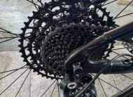 Giant Liv Ebike Series 2020