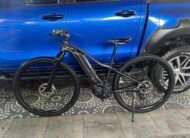 Giant Liv Ebike Series 2020