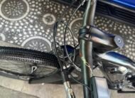 Giant Liv Ebike Series 2020