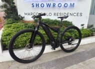 Giant Liv Ebike Series 2020