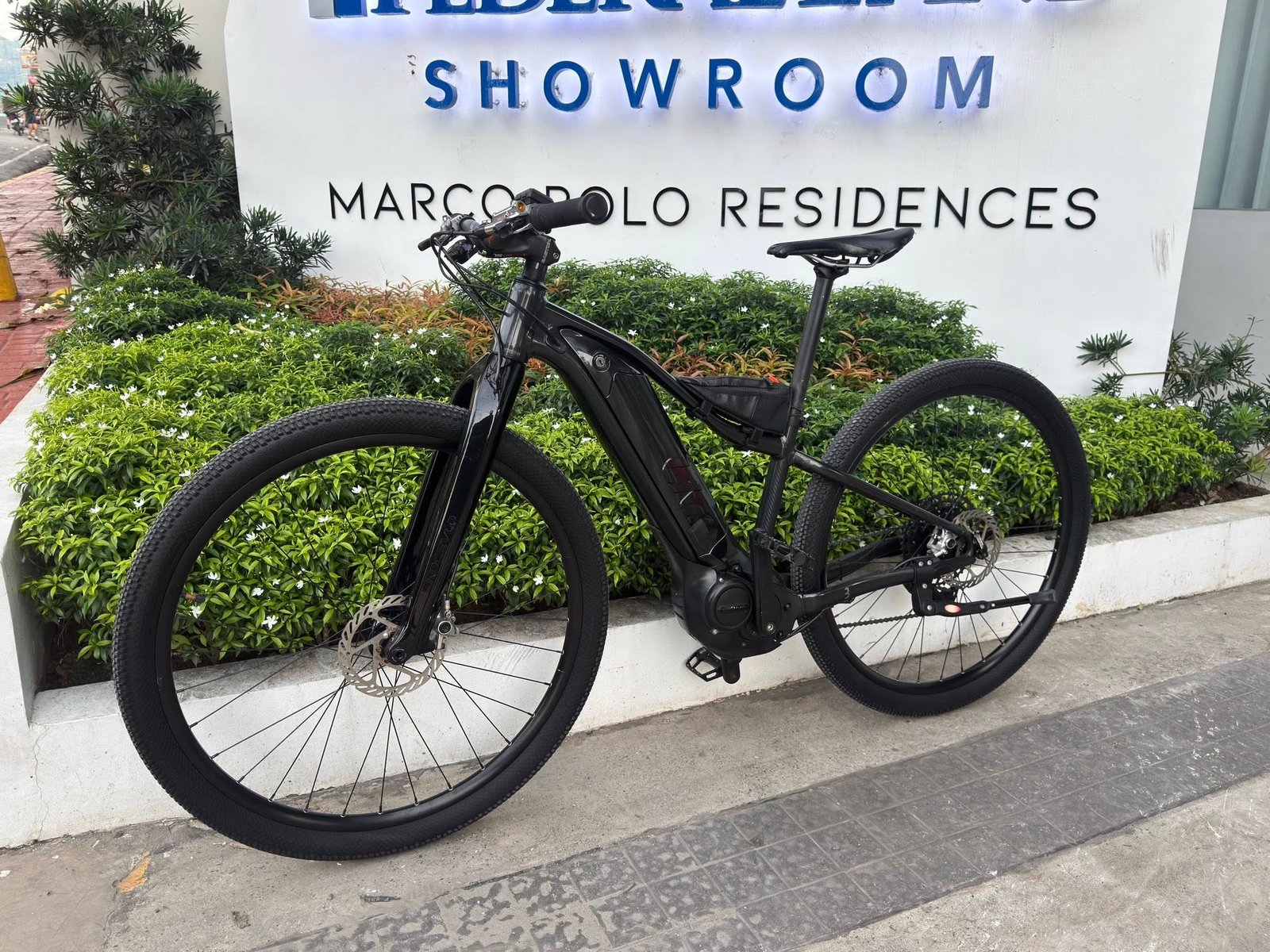 Giant Liv Ebike Series 2020