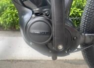 Giant Liv Ebike Series 2020