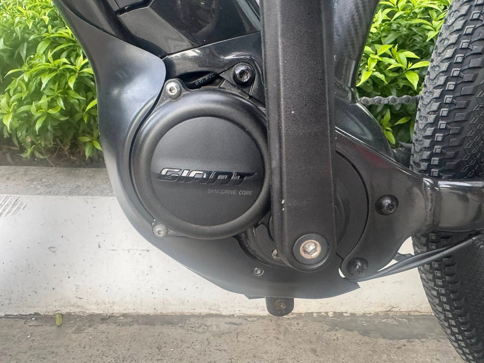 Giant Liv Ebike Series 2020