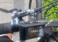 Giant Liv Ebike Series 2020