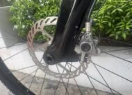 Giant Liv Ebike Series 2020