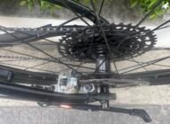 Giant Liv Ebike Series 2020