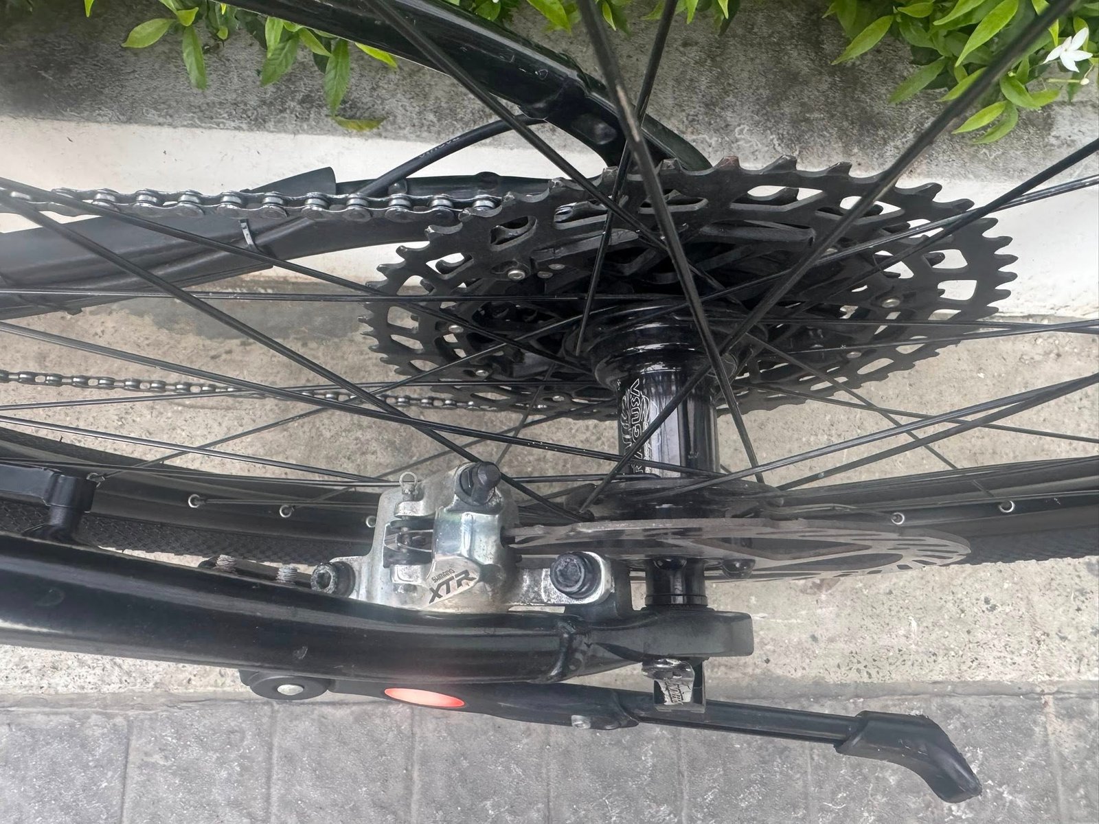 Giant Liv Ebike Series 2020