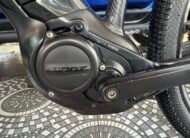 Giant Liv Ebike Series 2020