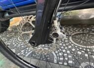 Giant Liv Ebike Series 2020